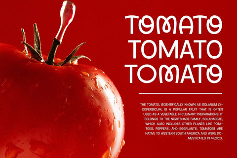 Vemoly Display – Unique Sans Font Arterfak Project 