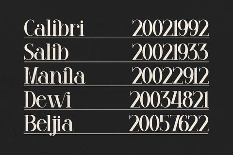 VENEZULA Typeface Font Storytype Studio 