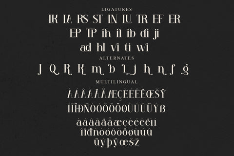 VENEZULA Typeface Font Storytype Studio 