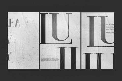 VENEZULA Typeface Font Storytype Studio 