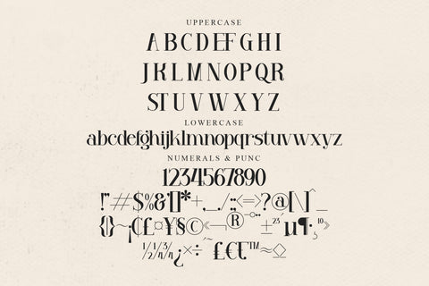 VENEZULA Typeface Font Storytype Studio 