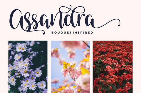 Venoisse – Modern Calligraphy Font Good Java 