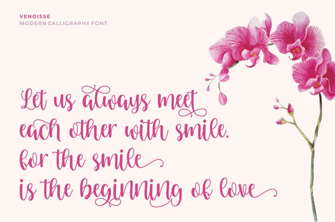 Venoisse – Modern Calligraphy Font Good Java 