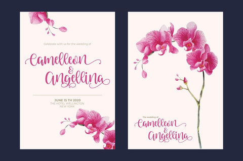 Venoisse – Modern Calligraphy Font Good Java 