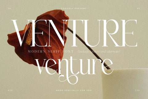Venture Typeface Font Storytype Studio 