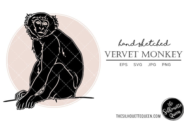 Vervet Monkey Sketch Vector SVG Loveleen Kaur 