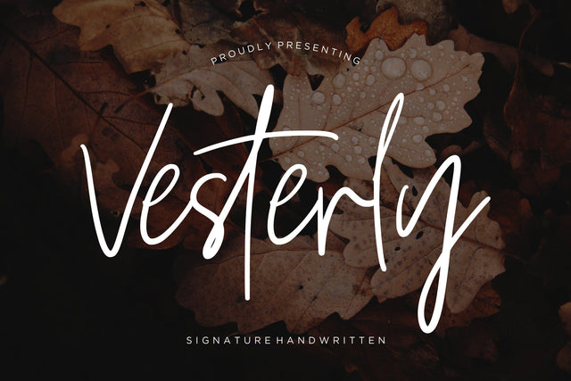 Vesterly Signature Handwritten Font Creatype Studio 