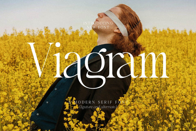 Viagram Typeface Font Storytype Studio 