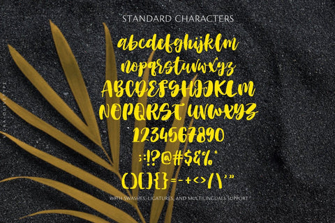 Vicka Font Olivetype 