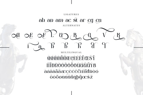 Victorah Gaerioa Typeface Font Storytype Studio 