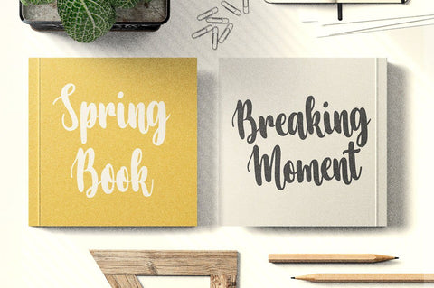 Vilanova - Modern Calligraphy Font Font Ibey Design 