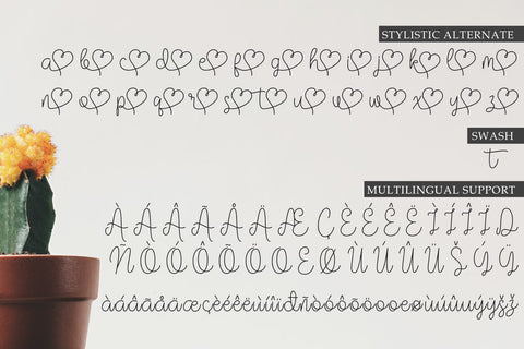 Vilova Font Madatype Studio 