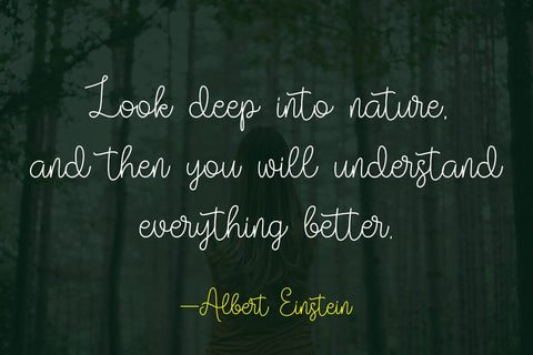 Vilova Font Madatype Studio 