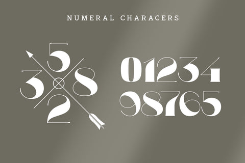 Vince Font Zeenesia Std 