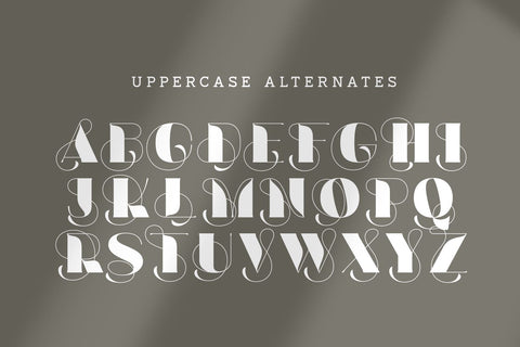 Vince Font Zeenesia Std 