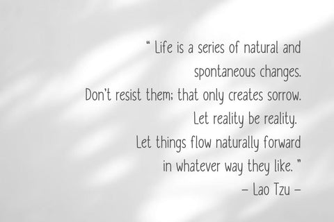 Vineyard - Cute Handwriting Font Font ChiraaDesign 