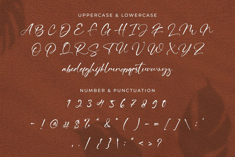 Ving Winston - Signature Font Font StringLabs 