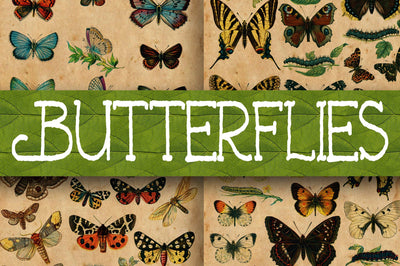 Vintage Butterfly Scientific Plates Digital Paper Sublimation Old Market 