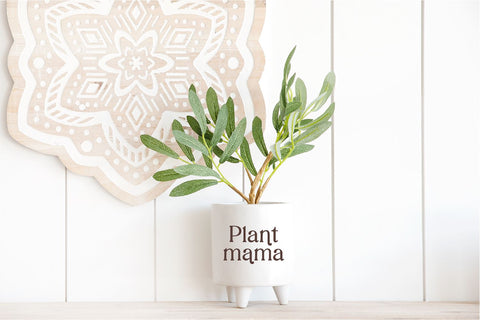 Vintage Champagne Modern Serif Font Font Blush Font Co. 