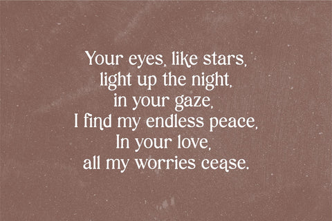 Vintage Champagne Modern Serif Font Font Blush Font Co. 