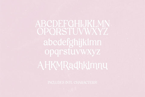 Vintage Champagne Modern Serif Font Font Blush Font Co. 
