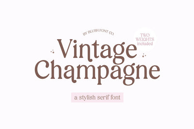 Vintage Champagne Modern Serif Font Font Blush Font Co. 