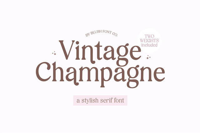Vintage Champagne Modern Serif Font Font Blush Font Co. 