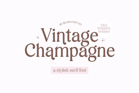 Vintage Champagne Modern Serif Font Font Blush Font Co. 