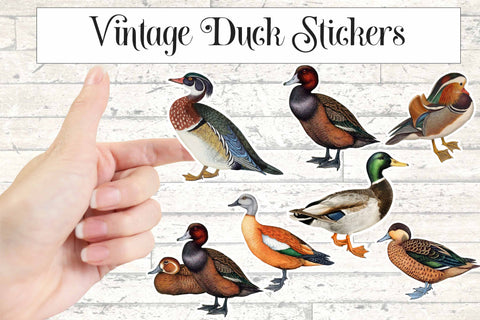 Vintage Duck Sticker Set Printable Stickers Sublimation Digital Honeybee 