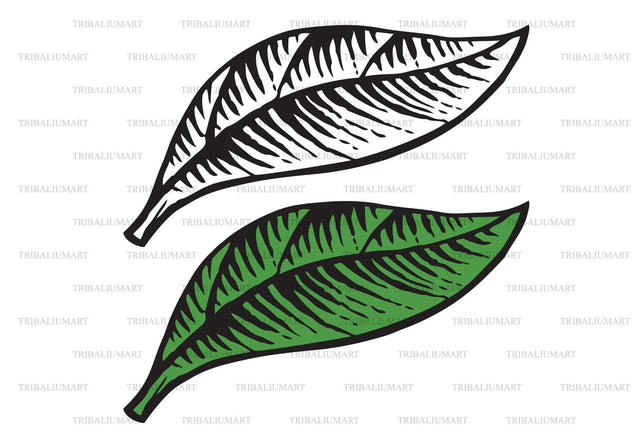 Vintage engraved vector illustration of leaf SVG TribaliumArtSF 