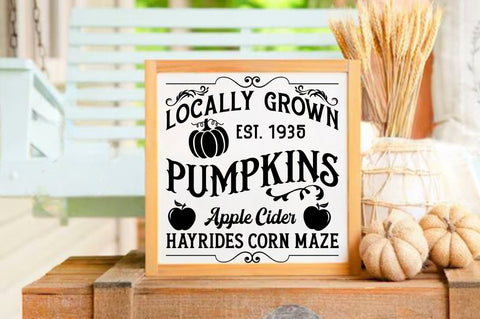 Vintage Fall Sign SVG Bundle SVG Shetara Begum 