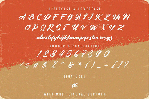 Vintage Style - Bold Script Font - So Fontsy
