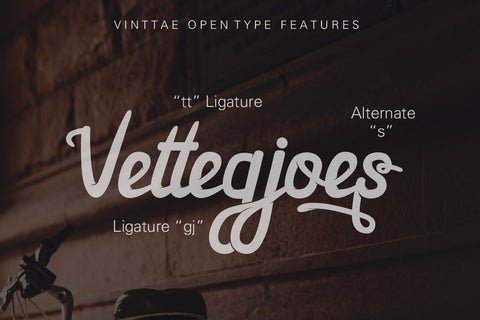 Vinttae font Font Leamsign Studio 