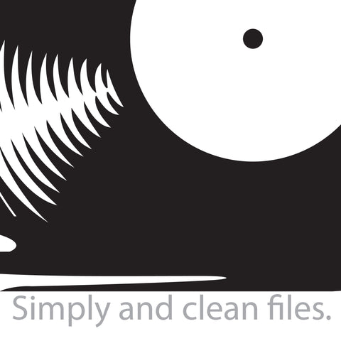 Vinyl Disc Sunset Reflection - Record SVG TribaliumArtSF 