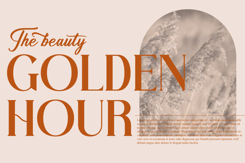 VIOLLEN Patricia Typeface Font Storytype Studio 