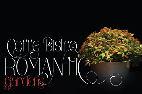 Viona Niosa Serif Font JH-CreativeFont 