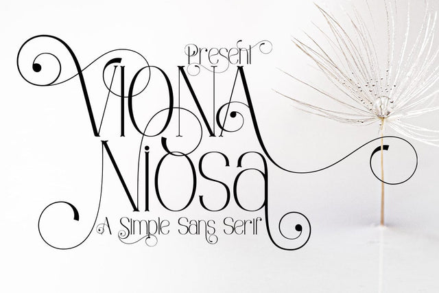 Viona Niosa Serif Font JH-CreativeFont 