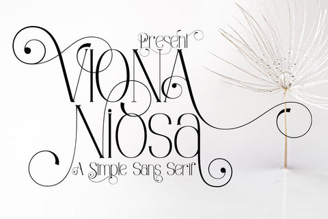 Viona Niosa Serif Font JH-CreativeFont 