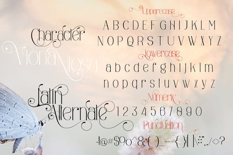 Viona Niosa Serif Font JH-CreativeFont 