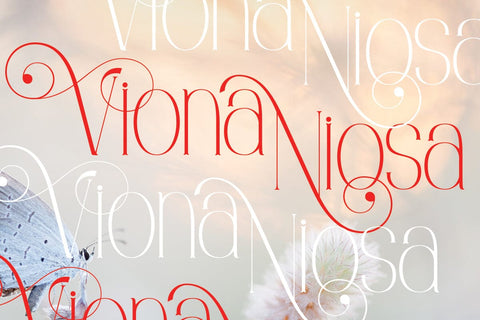 Viona Niosa Serif Font JH-CreativeFont 
