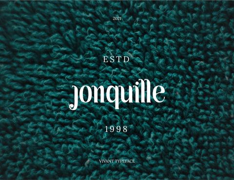 Vivant Serif Font Font inferno.studio3 