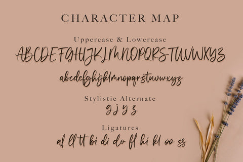 Vivy Aquilla - Handwritten Font Font StringLabs 