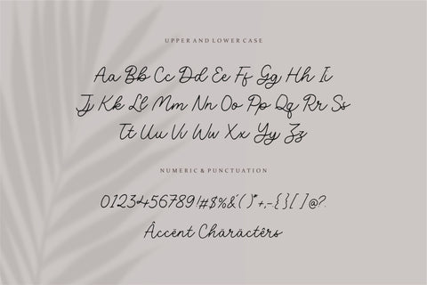 Volatile Monoline Handwritten Script Font Font Letterative 