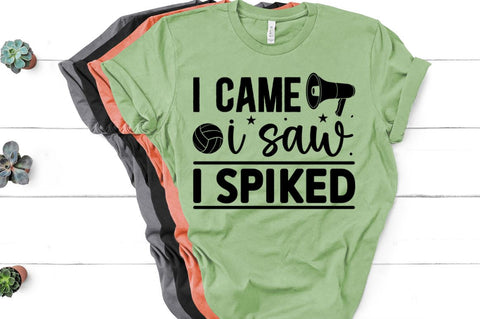 Volleyball Svg Bundle SVG Regulrcrative 