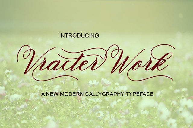 Vracter Work Font PolemStudio