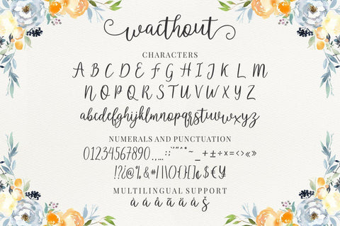 Wacthout Script Font Megatype 