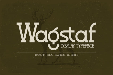Wagstaf Typeface Font Storytype Studio 