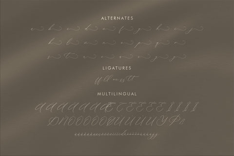 Waittelian Grolinda - Chic Calligraphy Font Font Storytype Studio 