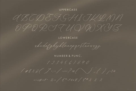 Waittelian Grolinda - Chic Calligraphy Font Font Storytype Studio 