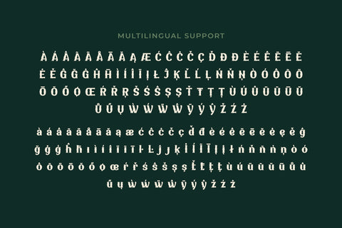 WAKCAHO | Serif Classic Modernism Font twinletter 